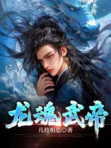 《龙魂武帝》封面
