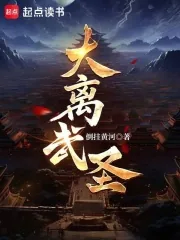 《大离武圣！》封面