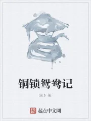 《铜锁鸳鸯记》封面