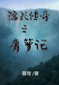 《隐天传奇之青箩记》封面