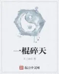 《一棍碎天》封面