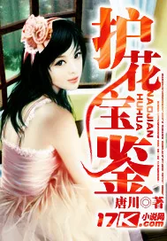 《护花宝鉴》封面