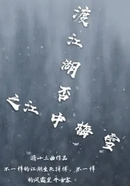 《渡江湖否之江中梅雪》封面