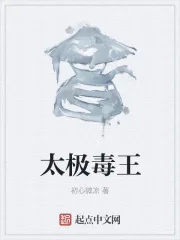 《太极毒王》封面