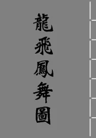 《龙飞凤舞图》封面