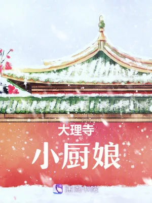 《大理寺小厨娘》封面