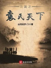 《三国之袁氏天下》小说封面