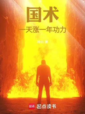 《国术:一天涨一年功力!》小说封面