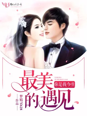 《你是我今生最美的遇见》小说封面
