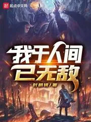 《我于人间已无敌》小说封面