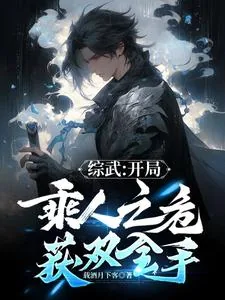 《综武:开局趁人之危,获双全手!》小说封面