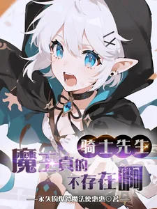 《骑士先生,魔王真的不存在啊》小说封面