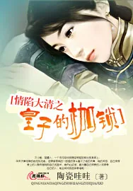 《情陷大清之皇子的枷锁》小说封面
