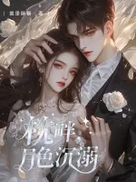 《枕畔,月色沉溺》小说封面