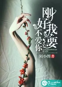 《刚好我要不爱你》小说封面