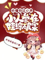 《听懂物证心声,小人参在娃综破案》小说封面
