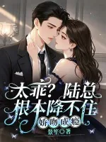 《太乖?陆总根本降不住,娇吻成瘾》小说封面