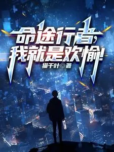 《命途行者,我就是欢愉!》小说封面