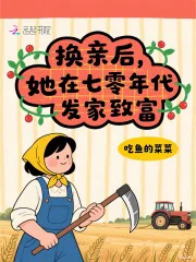 《换亲后,她在七零年代发家致富》小说封面