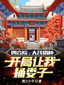 《四合院:大茂让我捅娄子》小说封面