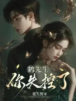 《鹤先生,你失控了》小说封面