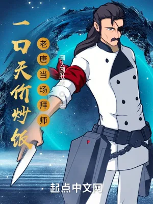 《一口天价炒饭,老唐当场拜师》小说封面