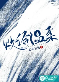 《败给温柔》小说封面