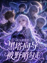 《误入流浪星,黑塔向导被野哨勾走》小说封面