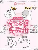 《顶级应援:爱豆老婆无敌甜》小说封面