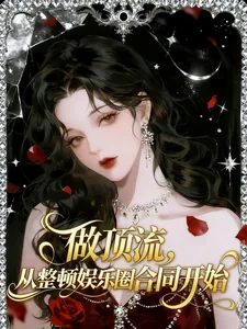 《做顶流,从整顿娱乐圈合同开始》小说封面