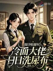 《挺孕肚随军,冷面大佬日日洗尿布》小说封面