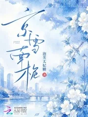 《京雪南栀》小说封面