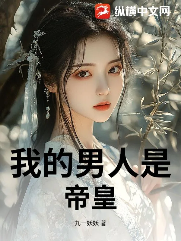《我的男人是帝皇》小说封面