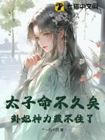 《太子命不久矣,卦妃神力藏不住了》小说封面