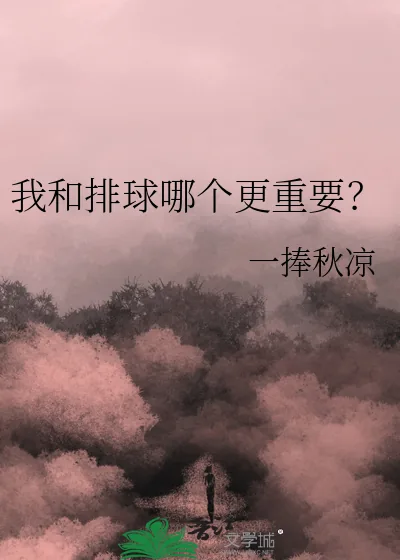 《我和排球哪个更重要?》小说封面
