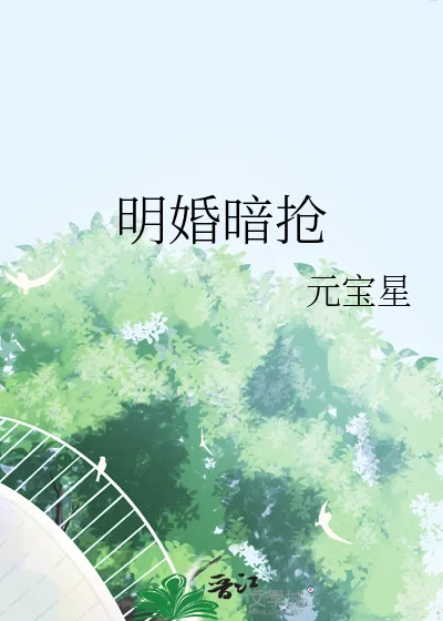 《明婚暗抢》小说封面
