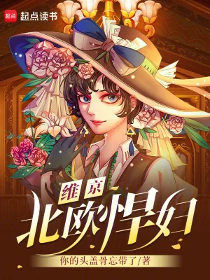 《维京:北欧悍妇》小说封面