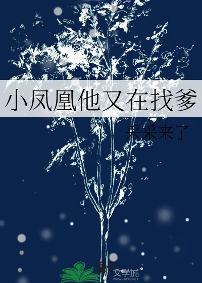 《小凤凰他又在找爹》小说封面
