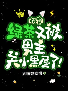 《快穿:绿茶又被男主关小黑屋了!》小说封面