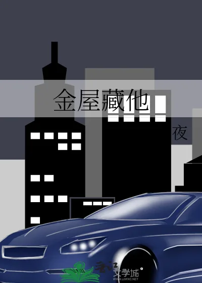 《金屋藏他》小说封面