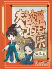 《夫人被迫觅王侯》小说封面