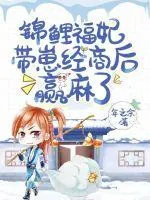 《锦鲤福妃带崽经商后赢麻了》小说封面