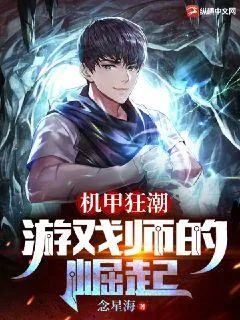 《机甲狂潮:游戏师的崛起》小说封面