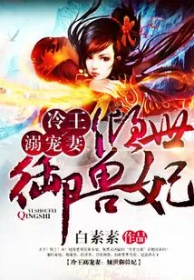 《冷王的倾城狂妃》小说封面