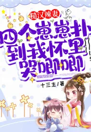 《糙汉辣妻:四个崽崽扑到我怀里哭唧唧》小说封面
