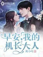 《早安,我的机长大人》小说封面
