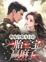 《换嫁冷脸飞行员,一胎三宝赢麻了》小说封面