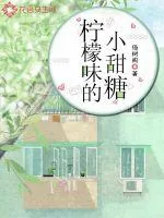 《柠檬味的小甜糖》小说封面