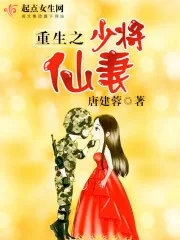 《重生之少将仙妻》小说封面