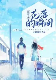 《山河之花落的瞬间》小说封面